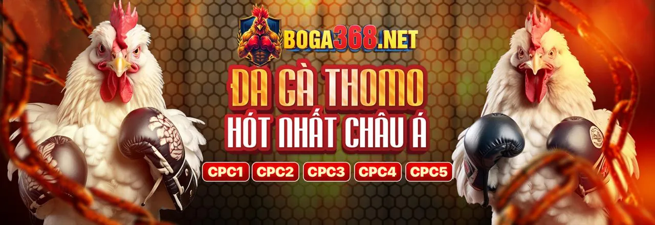 Đá Gà Trực Tuyến thomo123 nhà cái
